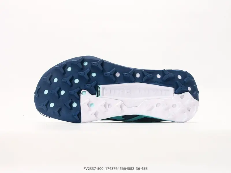 Nike Chaussures de trail Antidérapant Résistant Trail FV2338-013 #17437645664082