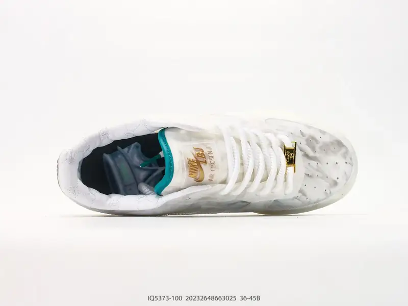 Nike Scarpe da skate Collaborazione Edizione Limitata Basso IQ5373-100 #20232648663025